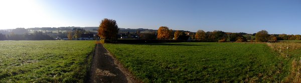 Großes Bild Bild
