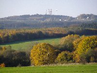 Großes Bild Bild
