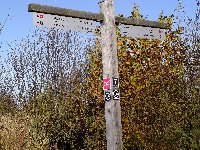 Großes Bild Bild
