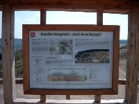 Großes Bild Bild