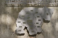 Großes Bild Bild