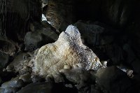 Großes Bild Bild