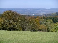 Großes Bild Bild