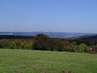 Großes Bild Bild