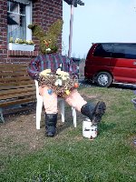 Großes Bild Bild