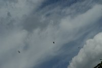 Großes Bild Bild