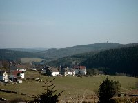 Großes Bild Bild