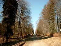 Großes Bild Bild
