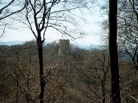 Großes Bild Bild