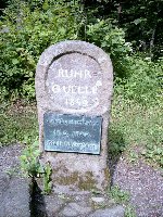 Großes Bild Bild