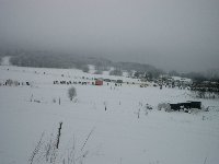 Großes Bild Bild