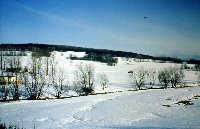 Großes Bild Bild