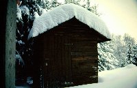 Großes Bild Bild