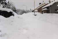 Großes Bild Bild