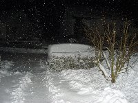 Großes Bild Bild