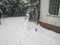 Großes Bild Bild