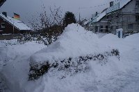 Großes Bild Bild